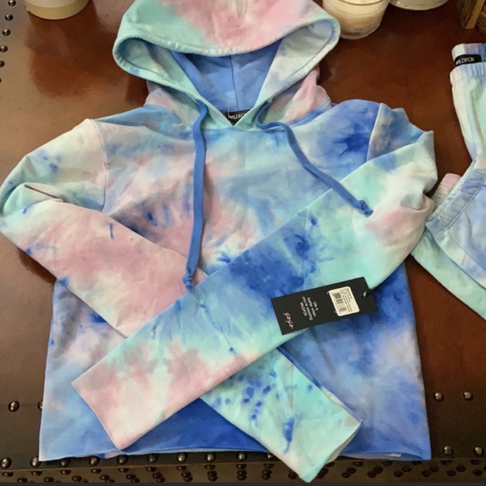 Wildfox  painted Sky wash sweatshirt hooded